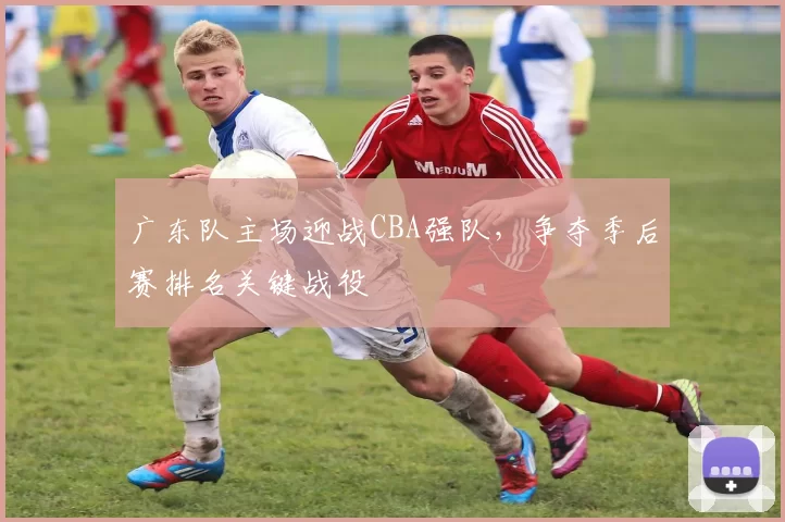 广东队主场迎战CBA强队,争夺季后赛排名关键战役