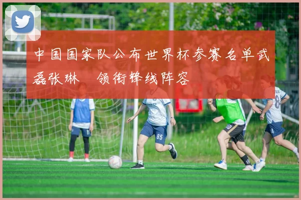 中国国家队公布世界杯参赛名单武磊张琳芃领衔锋线阵容